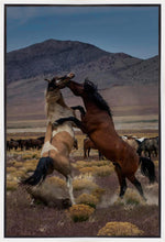 Load image into Gallery viewer, Desert Duel 1
