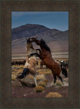 Load image into Gallery viewer, Desert Duel 1
