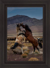 Load image into Gallery viewer, Desert Duel 1
