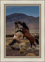 Load image into Gallery viewer, Desert Duel 1
