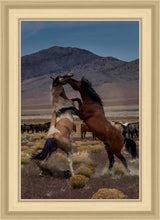Load image into Gallery viewer, Desert Duel 1
