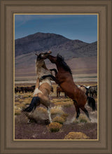 Load image into Gallery viewer, Desert Duel 1
