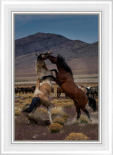 Load image into Gallery viewer, Desert Duel 1
