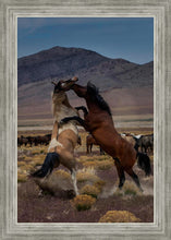 Load image into Gallery viewer, Desert Duel 1
