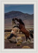 Load image into Gallery viewer, Desert Duel 1
