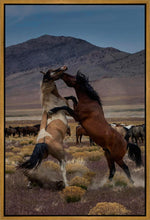 Load image into Gallery viewer, Desert Duel 1
