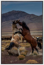 Load image into Gallery viewer, Desert Duel 1

