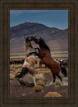 Load image into Gallery viewer, Desert Duel 1
