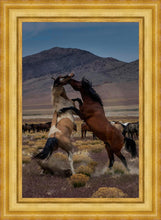 Load image into Gallery viewer, Desert Duel 1
