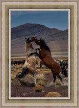Load image into Gallery viewer, Desert Duel 1
