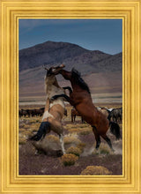 Load image into Gallery viewer, Desert Duel 1
