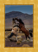 Load image into Gallery viewer, Desert Duel 1
