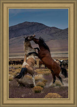 Load image into Gallery viewer, Desert Duel 1
