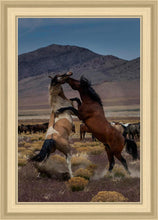 Load image into Gallery viewer, Desert Duel 1
