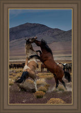 Load image into Gallery viewer, Desert Duel 1
