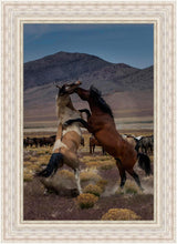 Load image into Gallery viewer, Desert Duel 1
