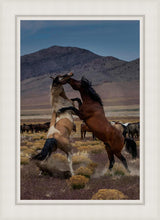 Load image into Gallery viewer, Desert Duel 1
