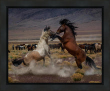Load image into Gallery viewer, Desert Duel 5
