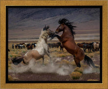 Load image into Gallery viewer, Desert Duel 5
