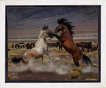 Load image into Gallery viewer, Desert Duel 5
