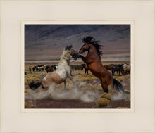 Load image into Gallery viewer, Desert Duel 5
