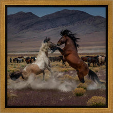Load image into Gallery viewer, Desert Duel 5
