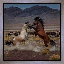 Load image into Gallery viewer, Desert Duel 5
