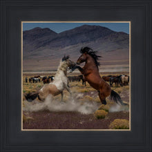 Load image into Gallery viewer, Desert Duel 5
