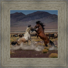 Load image into Gallery viewer, Desert Duel 5
