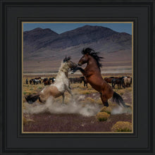 Load image into Gallery viewer, Desert Duel 5
