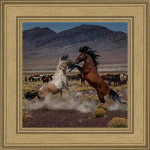 Load image into Gallery viewer, Desert Duel 5
