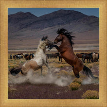 Load image into Gallery viewer, Desert Duel 5
