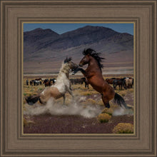 Load image into Gallery viewer, Desert Duel 5
