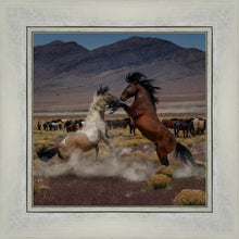Load image into Gallery viewer, Desert Duel 5
