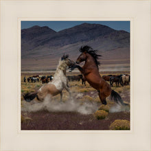 Load image into Gallery viewer, Desert Duel 5
