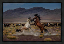 Load image into Gallery viewer, Desert Duel 5
