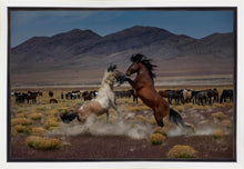 Load image into Gallery viewer, Desert Duel 5
