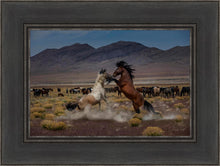 Load image into Gallery viewer, Desert Duel 5
