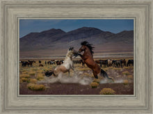 Load image into Gallery viewer, Desert Duel 5
