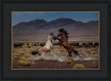 Load image into Gallery viewer, Desert Duel 5
