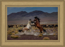 Load image into Gallery viewer, Desert Duel 5
