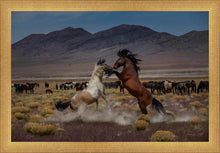 Load image into Gallery viewer, Desert Duel 5
