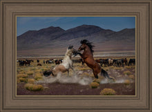 Load image into Gallery viewer, Desert Duel 5
