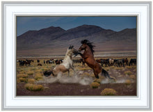 Load image into Gallery viewer, Desert Duel 5
