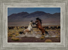 Load image into Gallery viewer, Desert Duel 5
