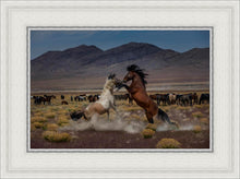 Load image into Gallery viewer, Desert Duel 5
