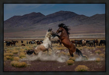 Load image into Gallery viewer, Desert Duel 5

