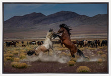 Load image into Gallery viewer, Desert Duel 5
