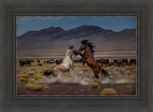 Load image into Gallery viewer, Desert Duel 5
