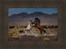 Load image into Gallery viewer, Desert Duel 5
